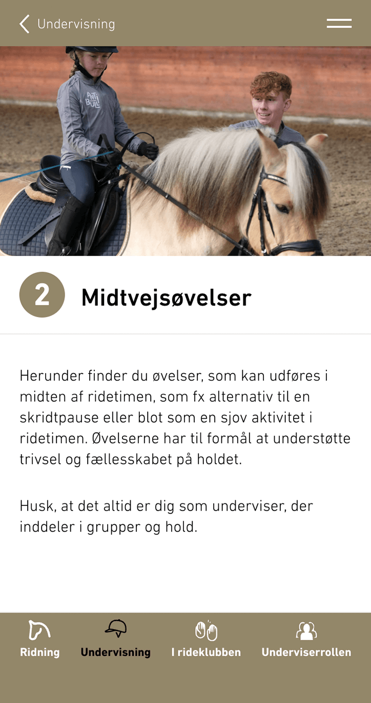 Screenshot af Antibulli Ridning websitet